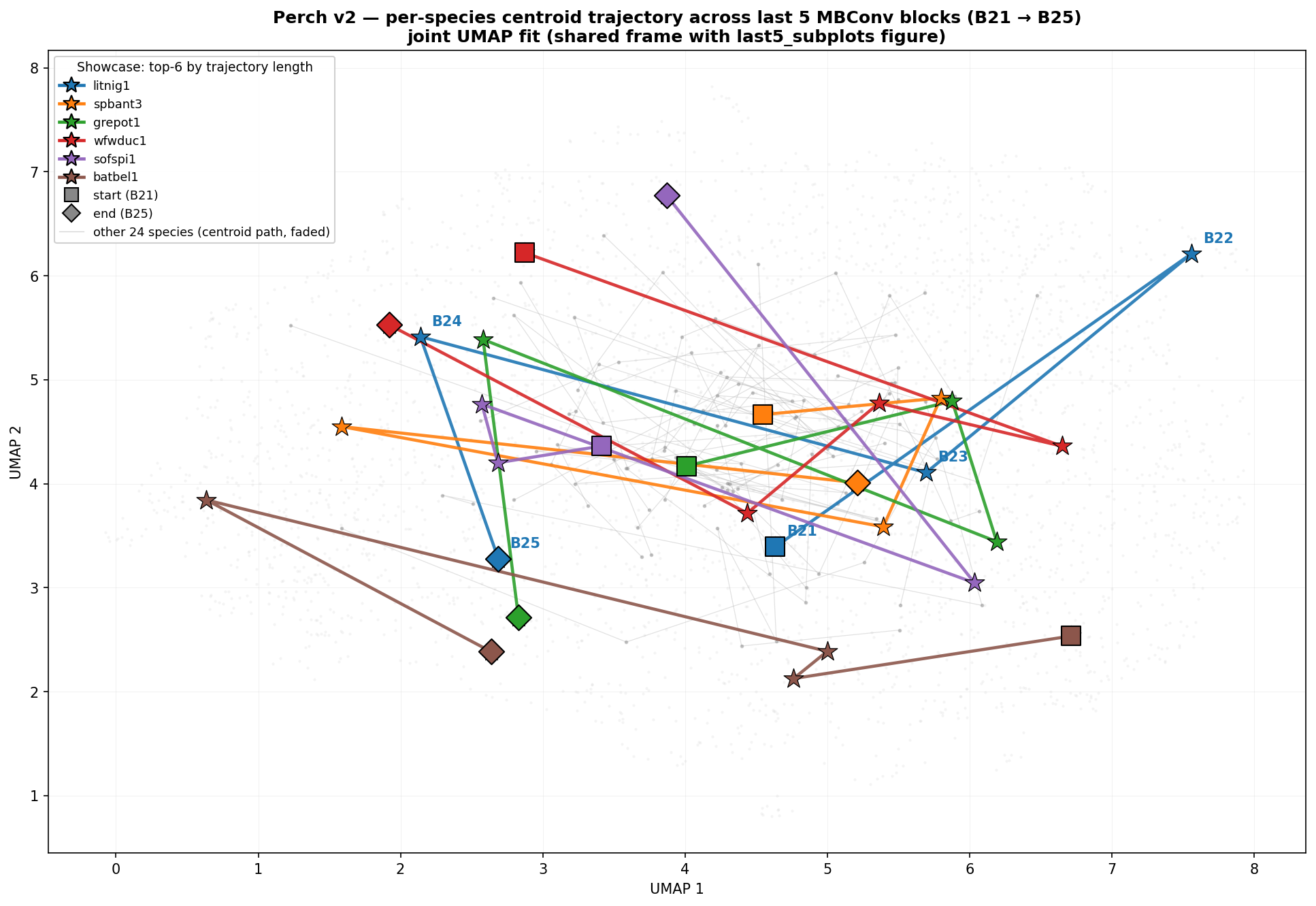 Per-species trajectory through B21–B25 — block 24 clusters tightest