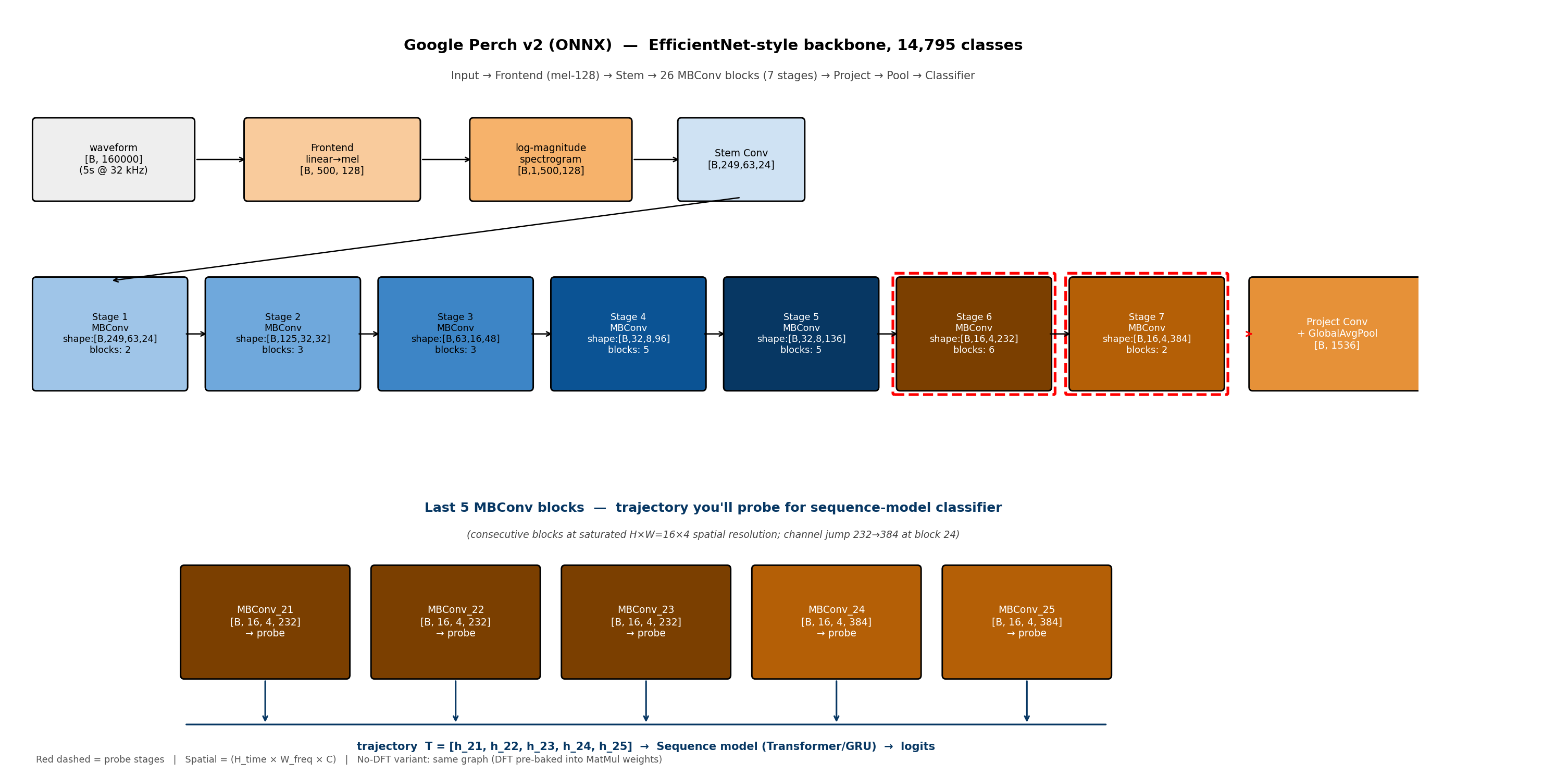 Perch v2 architecture — 26 MBConv blocks, recovered from the ONNX graph