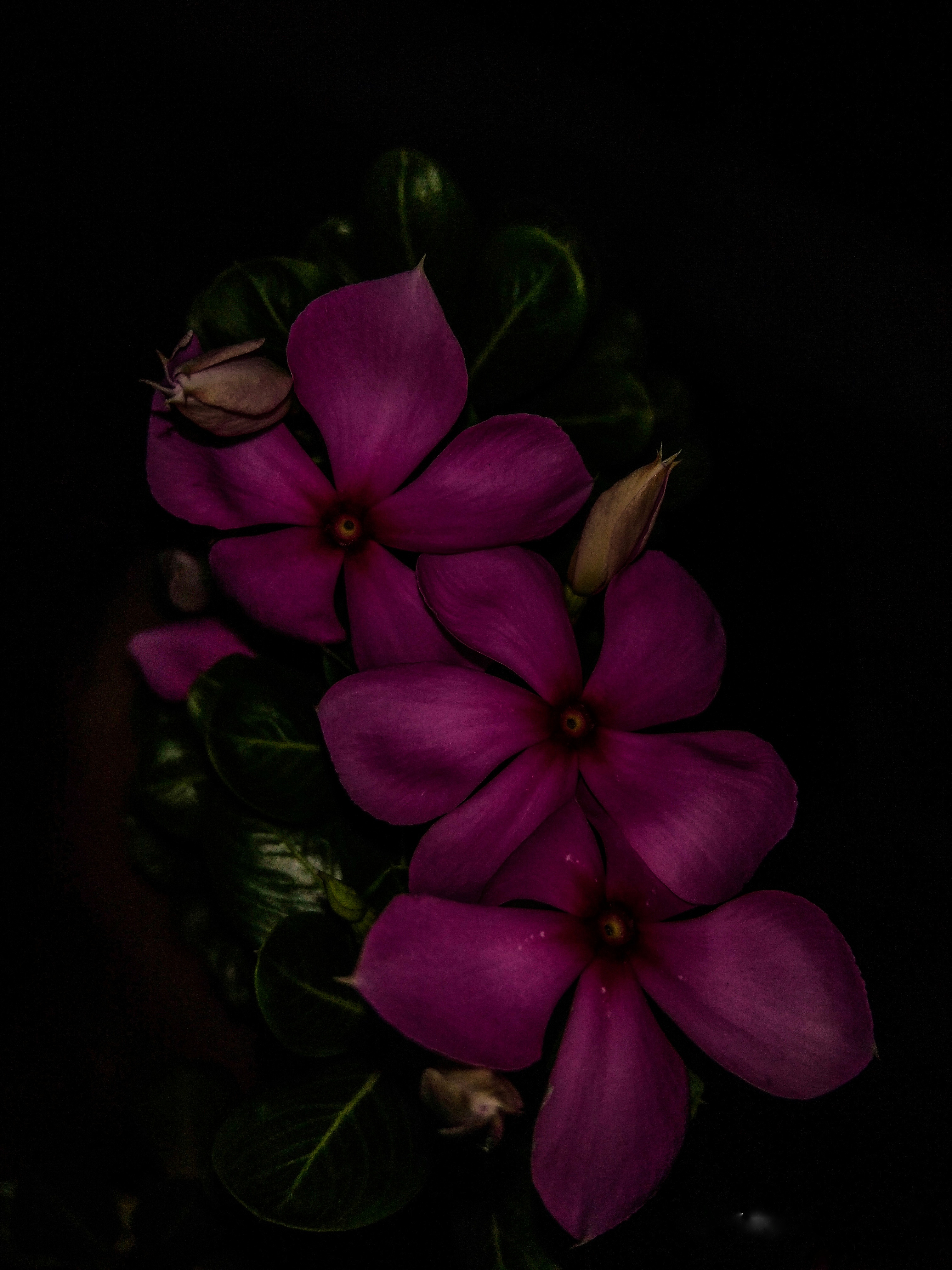 /photo/18.jpeg /photo/18.jpeg