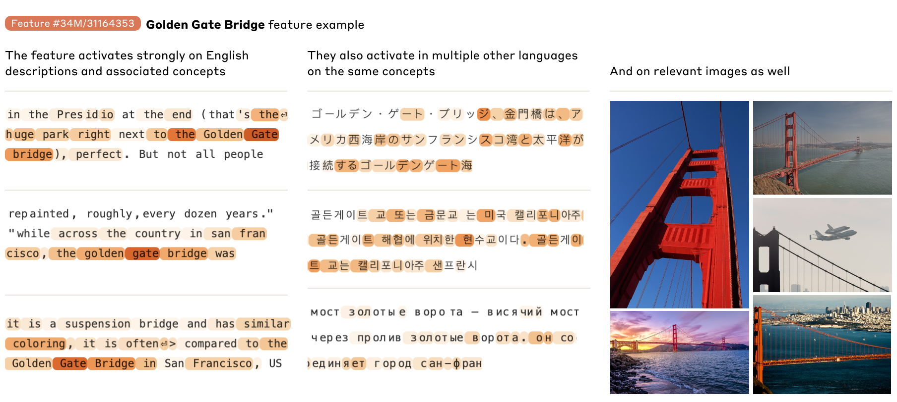 The Golden Gate Bridge feature fires across text and images of the bridge