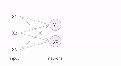 Neuron formula