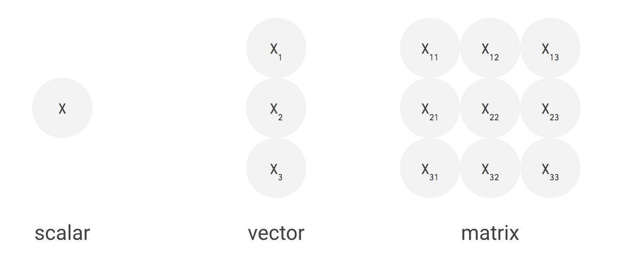 Scalar, vector, and matrix processing