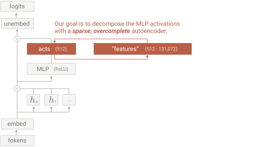 A sparse autoencoder re-expresses tangled activations as clean, single-meaning features