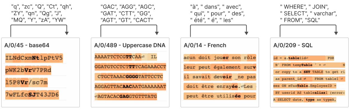 Grow the dictionary and one broad feature splits into many specific ones