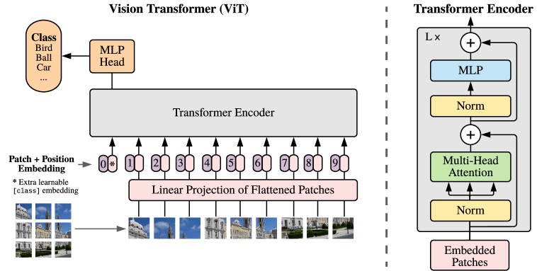 The Vision Transformer architecture: patches → linear projection → standard Transformer encoder