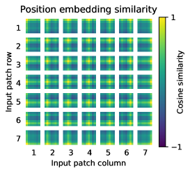 Position-embedding similarity — patches recover their 2D grid structure
