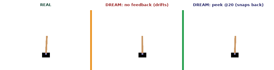 Dreaming with a peek every 20 steps: it drifts, then snaps back to reality at each peek.