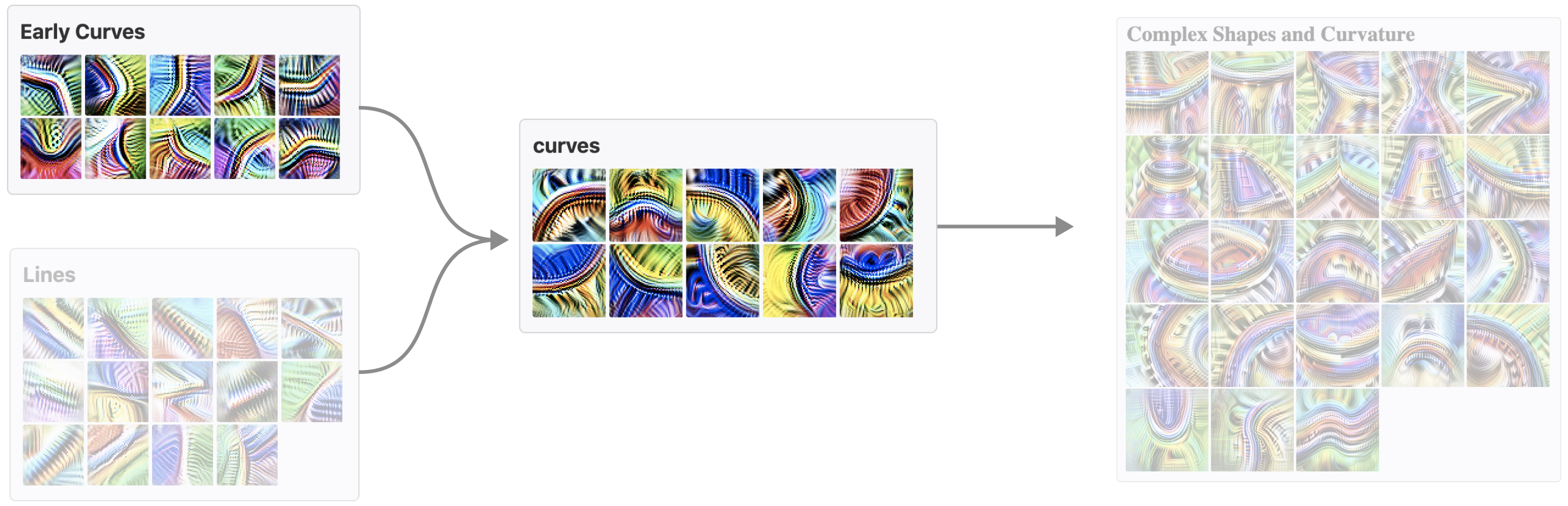 The curve circuit — early curves combine into more sophisticated curve features