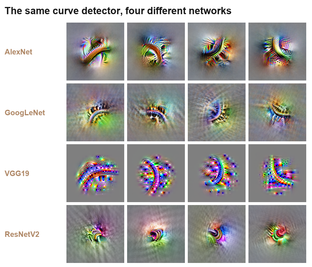 Curve detectors found independently across AlexNet, GoogLeNet, VGG, and ResNet